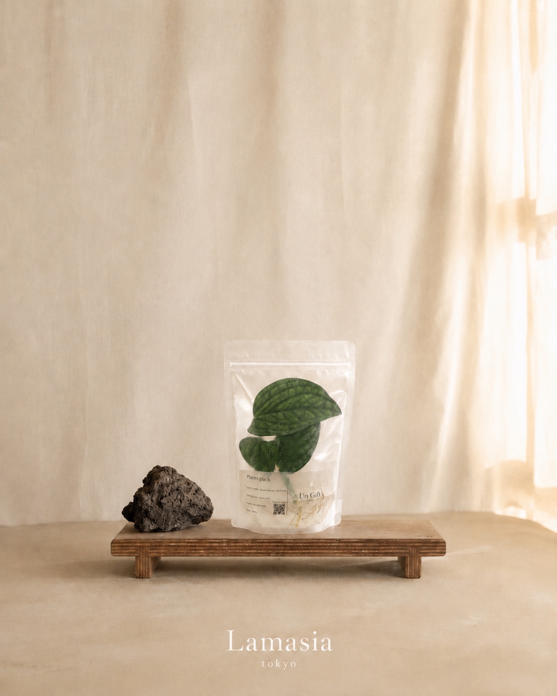 リネンの上に置かれたLamasiaの植物